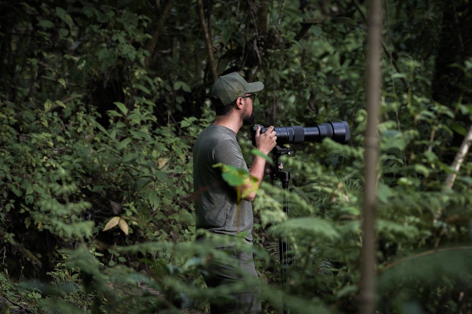 A photographer with a telephoto lens captures nature in a dense forest setting.